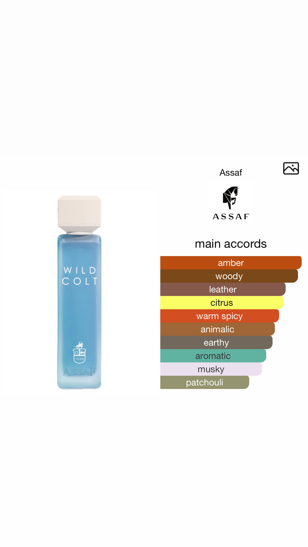 Wild colt perfume